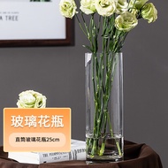 盛世泰堡玻璃花瓶透明植物插花瓶水培容器大花瓶客厅摆件直筒款