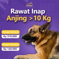 10KG Dog Inpatient Services Only for Satwagia Animals