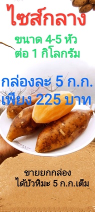 บัวหิมะสด จากดอยอ่างขาง กล่องละ 5 ก.ก. เพียง 70 บาท ขนาดกลาง 3-4 หัว ต่อ 1 กิโลกรัม