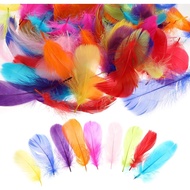 Fancy Feather 8-10cm Long Decoration Balloons Party Crafts DIY Photo Props Colorful Prop 8grams