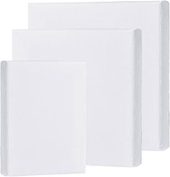 3-Piece Canvas Painting Set 30 x 30 cm 25 x 25 cm 15 x 20 cm, White Pre-Stretched Canvas with Frame,