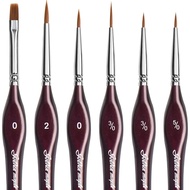 Detail Paint Brushes 6 PCS Extra Fine Tip Professional Miniature Paint Brushes for Micro Watercolor 