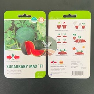 SUGARBABY MAX F1 EAST WEST SEED HYBRID WATERMELON SEEDS GO GROW HOME GARDENING PACK