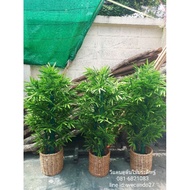 Fake Bamboo Plant Artificial