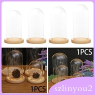 [szlinyou2] Clear Cloche ,Transparent Dome Cloche, Dollhouse Decoration, DIY