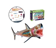 4D Vision หุ่นจำลองฉลาม 4 มิติ