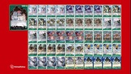 綠荷帝向卡牌組deck 日本T0卡組海賊王卡牌 optcg one piece card game op06 op05 op04 op03 op02 op01