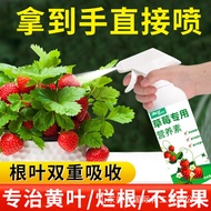 Strawberry Strawberry Nutrient Solution Plant Special Fertilizer Organic Fertilizer Flower-Promoting Fruit General Nutri