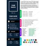 Professional Resume CV