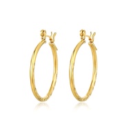 TY Jewelry Us 10k Gold Hypoallergenic Hoop Earring Design Lady Loop Earrings