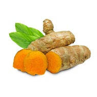 New 1 kg of Fresh Organic Temulawak