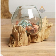 POT BUNGA - SIZE M AKUARIUM IKAN CUPANG KACA TIUP DAN AKAR BALI / AQUASCAPE / AQUARIUM UNIK GLASSWOO