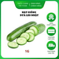 F1 hybrid Japanese Cucumber seeds are long, crunchy, sweet, grown all year round (1gr package) - Ran