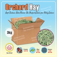Dust Free Premium filtered imported hay - Timothy/ Alfalfa / Orchard Hay - 3kg in Box - for small an