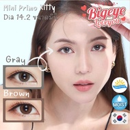 คอนแทคเลนส์ Mini Primo Gray / Brown (Kitty Kawaii) ขนาดมินิ เนียน ธรรมชาติ ขายดีมาก