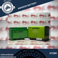 EPH-PR-12ETZ9R AMARON BATTERY