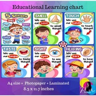 5 senses Kids Learning chart Laminated A4