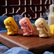 中秋月餅模具 mooncake mould 2025 New Style Mid-Autumn Festival Mini Mooncake Mold 20g 25g Three-Dimensiona