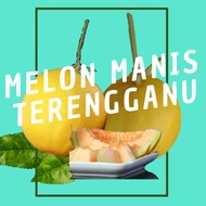 [Ramadan Special] Melon Manis Terengganu/ "Gold Honeydew" x 5 BIJI (2A + 3B)