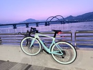 TWITTER 碳纖維公路車