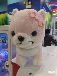 櫻花柴犬豆柴三兄弟毛公仔