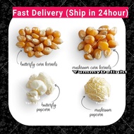 Pop Corn Biji Jagung Corn Kernel Bertih Jagung Mushroom Popcorn Mushroom Kernel Butterfly USA / SA 爆