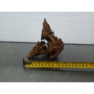 [QQ PET SHOP] DRIFTWOOD S FOR AQUARIUM, AQUASCAPE / KAYU UNTUK AQUARIUM, AQUASCAPE (15CM - 23CM) PART 2