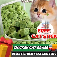 Cat Grass Cube Freeze Dried Chicken Cat Grass Cube Rumput Kucing Hairball Solution Cat Food  Makanan