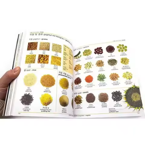 DK Korean English Bilingual Visual Dictionary Bilingual Contrastive Graphical Dictionary Book DIFUYA