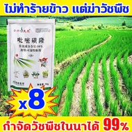 🌾กำจัดวัชพืชในนาข้าวได้ 95%🌾 ยาคุมหญ้าข้าว สารกำจัดวัชพืช คุมฆ่าในนาข้าว ยาคุมหญ้าข้าว 1ฟรี1 เข้มข้น