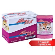 Explosion models Spot AlleyCat Cat Food Pouches Box (12x70g)