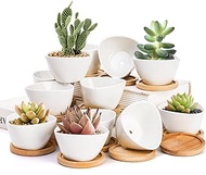 Foraineam 12 Pack Mini Succulent Planter Pots, Small Ceramic Cactus Planters White Plant Flower Pots with Bamboo Tray for Herbs, Seeds, Beans, Cacti, Succulents