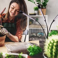 USB 3 頭全光譜柔性鵝頸植物生長夾燈連定時功能適用於室內植物 2ndckp sslckp USB 3 Heads Full Spectrum Flexible Gooseneck Plant Gr