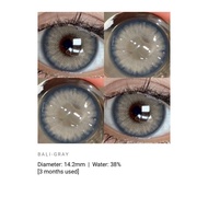 eyeshare Contact Lens (Gray Edition)