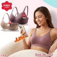 J174 Sorex Medium Foam Bra Without Wire Cup B 3 Hooks Size 36 - 42