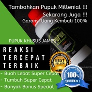 Jamaican Guava Fertilizer, Jamaican Guava Fertilizer, Jamaican Guava Fertilizer, Fertilizer for Jama