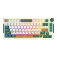 WIRELESS KEYBOARD (คีย์บอร์ดไร้สาย) ROYAL KLUDGE RKH81 RK SKY CYAN SWITCH RGB EN/TH