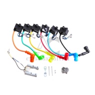 CDI Ignition Coil Magneto For Motorized 49cc 60cc 80cc Engine Bicycle 2-Stroke Engine Motorized Bicy