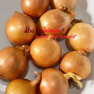 Bawang Bombay 1 Kg/ Bawang Bombai 1000 G /Onion Kualitas Super 1 KG