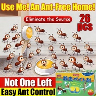 【20 years no ants】Ant killer Ant bait Ant poison Ant gel killer Ant trap  Powerful Ant Medicine Anti