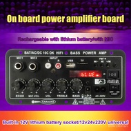 Power Amplifier Dual Microone Karaoke Amplifier Lithium Baery Interface Ac 220v 12v 24v Board Subwoofer 30-120w