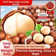 yummy food Unprocessed Macadamia Nuts Suitable for Pregnant Women 5 Pounds