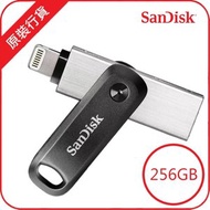 SanDisk - iXpand Flash Drive Go 256GB (SDIX60N-256G-GN6NE)