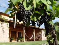 Finca Adalgisa Wine Hotel Mendoza