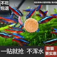 Red Worm Patch Fish Food Small Fish Feed Guppy Fish Food Betta Goldfish Tropical Fish Universal Open
