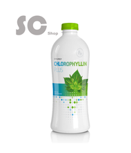 SYNERGY 100% Chlorophyllin Plus CHLOROPHYLL 100% Original Synergy Product (1 bottle 730 mL)