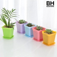 【BH】Square Plastic Flower Succulent Plant Pot Planting Flowerpot with Tray