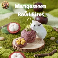 Mangosteen Bowl Bites Premium Treats | African Pygmy Dormice Mangosteen Shaped Snacks for Hamsters a