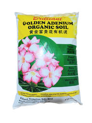 WHOLESALE Premium Brilliant Golden Adenium Desert Rose Organic Potting Soil 10L