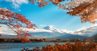 【主題旅遊】2025日本富士山馬拉松5日|日本百選賽事之一